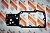 2830559 Прокладка маслоохладителя GASKET,OIL COOLER CORE Cummins 4ISBе4.5, 6ISBe6.7, QSB6.7, 6ISDe, ISB